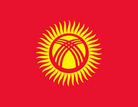 Доставка в Киргизию! Низкая цена